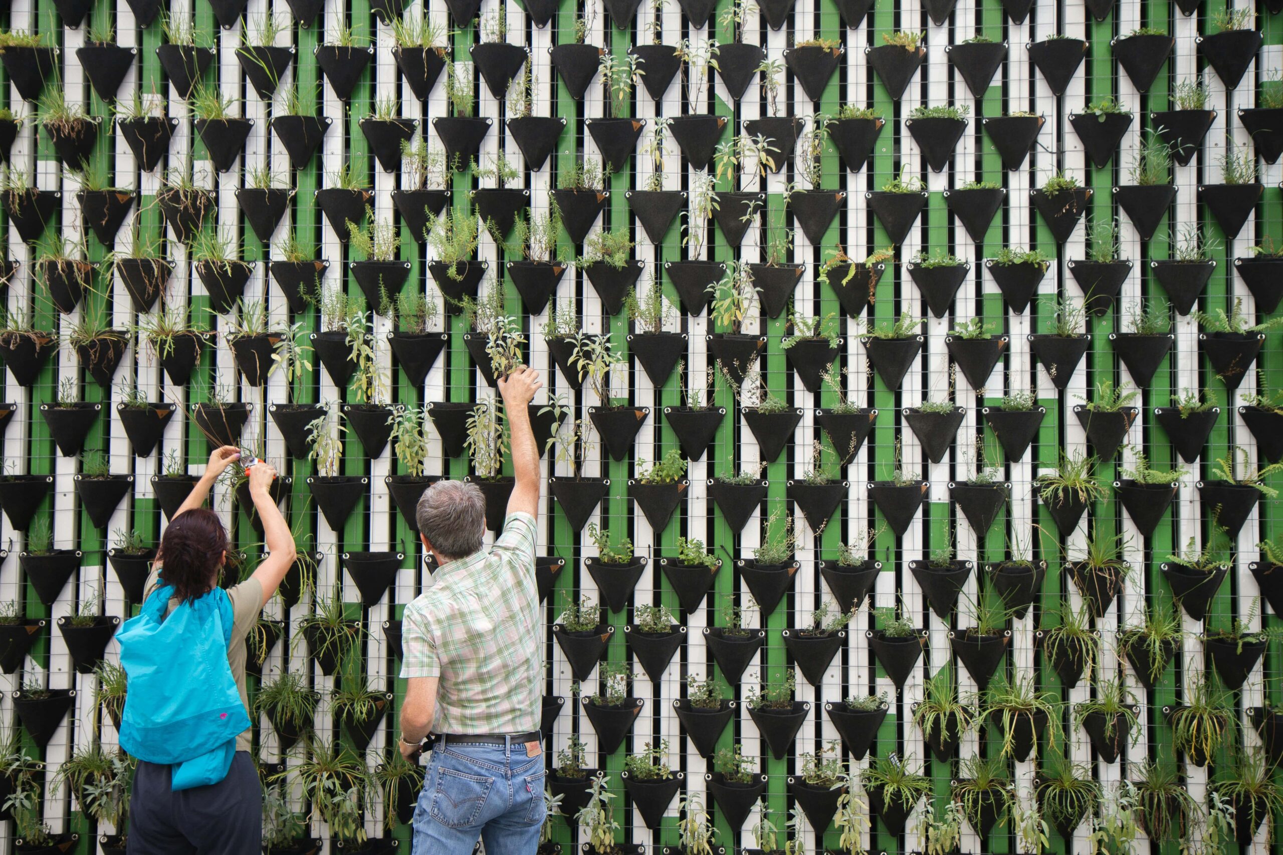 daniel-funes-fuentes-TyLw3IQALMs-unsplash-min Holding photo showing people cooperating to create vertical planting of a wall. Credit daniel-funes-fuentes